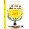 TOT CEEA CE STRALUCESTE - Nicoleta Mariana Orlea